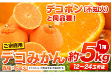 ご家庭用 デコみかん 約5kg 12～24玉前後《2026年2月上旬-4月末頃出荷》デコポン（不知火）と同品種 熊本県産 熊本県 長洲町 訳あり