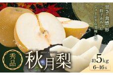 梨 秀品 秋月梨 約5kg（6～16玉） 日本フルーツ《8月下旬-9月末頃出荷》熊本県 長洲町 なし 梨 果物 フルーツ デザート ギフト ご贈答