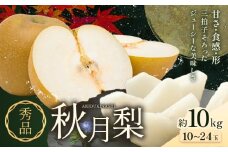 梨 秀品 秋月梨 約10kg（10～24玉） 日本フルーツ《8月下旬-9月末頃出荷》熊本県 長洲町 なし 梨 果物 フルーツ デザート ギフト ご贈答