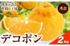 デコポン 約2kg 日本フルーツ株式会社 熊本県 長洲町 《2026年1月下旬-2月末頃出荷予定》 熊本県 長洲町 送料無料 デコポン 果物 秀品