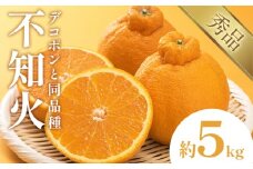 不知火（デコポン同品種） 約5kg 日本フルーツ株式会社 熊本県 長洲町 《2026年1月下旬-2月末頃出荷予定》 デコポン 果物 秀品 フルーツ スイーツ デザート ギフト ご贈答