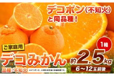 ご家庭用 デコみかん 約2.5kg 6～12玉前後《2026年2月上旬-4月末頃出荷》デコポン（不知火）と同品種 熊本県産 熊本県 長洲町 訳あり