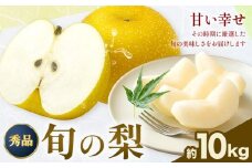 おまかせ梨 秀品 約10kg 日本フルーツ《8月上旬-10月末頃出荷》熊本県 長洲町 なし 梨 果物 フルーツ デザート ギフト ご贈答