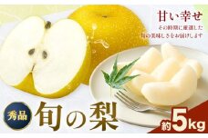 おまかせ梨 秀品 約5kg 日本フルーツ《8月上旬-10月末頃出荷》熊本県 長洲町 なし 梨 果物 フルーツ デザート ギフト ご贈答
