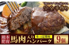 【6ヶ月定期便】ハンバーグ 馬肉入り 手作りハンバーグ 9個 (1個：約150g) 定期便 馬肉ハンバーグ 肉 馬肉 手作り 肉の宮本《申し込みの翌月から出荷(土日祝除く)》惣菜 おかず 肉 牛 豚