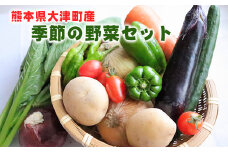 熊本県大津町産 季節の野菜セット(6～8種類) 《60日以内に出荷予定(土日祝除く)》 野菜 冷蔵 JA菊池 大津中央支所 とれたて市場