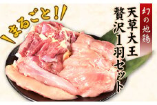 天草大王 贅沢1羽セット 約1.5kg 《60日以内に出荷予定(土日祝除く)》【幻の地鶏】もも・むね・ささみ 各2枚 熊本県産 あそ大王ファーム株式会社
