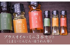 熊本県 大津町産 プラスオイル(とまと・にんじん・ほうれん草)ミニ3本セット(45g×3本) 《60日以内に出荷予定(土日祝除く)》 肥後製油株式会社