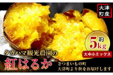 熊本県大津町産 タカハマ観光農園の紅はるか 約5kg(大中小ミックス)《2026年1月上旬-6月末頃出荷》 さつまいも 芋 スイートポテト 干し芋にも
