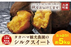 熊本県大津町産 タカハマ観光農園のシルクスイート 約5kg《2026年1月上旬-4月末頃出荷》 さつまいも 芋