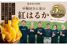 熊本県大津町産 中無田農園の紅はるか 約5kg (大中小サイズ不揃い) 熊本県大津町 《1-5日以内に出荷(土日祝除く)》 さつまいも 芋 スイートポテト 干し芋にも 名産地 特産品 秋 旬