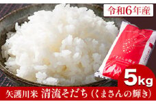 令和6年産 矢護川清流そだち(くまさんの輝き) 5kg 大津町矢護川おいしい米作り研究会 お米 熊本県 大津町《60日以内に出荷予定(土日祝除く)》