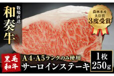 A5 A4 ランク 厳選 くまもと黒毛和牛 サーロインステーキ 1枚(約250g)《30日以内に出荷予定(土日祝除く)》 熊本県 大津町 和牛焼肉LIEBE サーロイン ステーキ 冷蔵 リーベ
