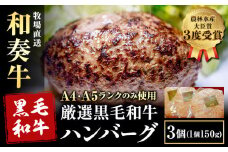 厳選くまもと黒毛和牛ハンバーグ 3個 (1個150g)《30日以内に出荷予定(土日祝除く)》熊本県 大津町 和牛焼肉LIEBE くまもと黒毛和牛 ハンバーグ 冷凍 リーベ