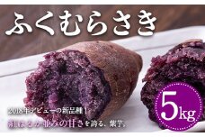 熊本県大津町産 ふくむらさき 5kg《2026年1月上旬-5月末頃出荷》 タカハマ観光農園 さつまいも 芋 紫芋 高糖度