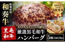 厳選くまもと黒毛和牛ハンバーグ 5個 (1個150g)《30日以内に出荷予定(土日祝除く)》熊本県 大津町 和牛焼肉LIEBE くまもと黒毛和牛 ハンバーグ 冷凍 リーベ