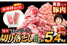豚肉 切り落とし ＆ ミンチ ハーフセット 3セット 5.4kg 豚 細切れ こま切れ 豚こま 豚小間切れ 豚しゃぶ 小分け 訳あり 訳有 ひき肉 うまかポーク 傷 規格外 ぶた肉 ぶた 真空パック  簡易包装 冷凍 《9月上旬-9月末頃出荷》