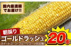 日本最速級出荷 朝採り ゴールドラッシュ 20本入り 3L-Lサイズ 《6月上旬- 6月末頃出荷》 熊本県 大津町 スイートコーン フルーツコーン とうもろこし トウモロコシ st-p