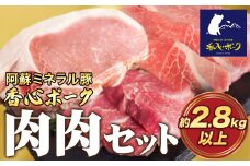 香心ポーク たっぷり肉肉セット 約2.8kg以上 有限会社コーシン《30日以内に出荷予定(土日祝除く)》 熊本 大津町 豚肉 豚 もも肉 モモ肉 ステーキ しゃぶしゃぶ すき焼き とんかつ 焼肉 送料無料