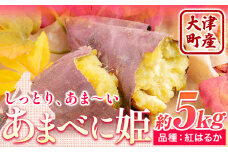熊本県 大津町産 あまべに姫 (紅はるか) 約5kg ガブレス《12月上旬-3月末頃より出荷開始》さつまいも 芋 紫芋 高糖度