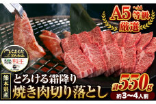 くまもと黒毛和牛 和王 バラ 霜降り 焼肉切り落とし 550g A5 A4 等級《60日以内に出荷予定(土日祝除く)》熊本県 大津町 黒毛和牛 牛肉 冷凍 個別 取分け 小分け チャック付き バラ凍結 肉 お肉 焼き肉 焼き肉用 st-p