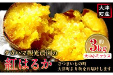 熊本県 大津町産 タカハマ観光農園 の 紅はるか 約 3kg 大中小ミックス《2026年1月上旬-6月末頃出荷》 さつまいも 芋 スイートポテト 干し芋にも