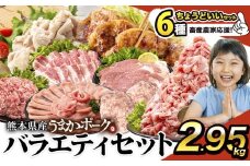 豚肉 うまか ポーク バラエティ セット 豚肉 しゃぶしゃぶ 切り落とし 豚ロース バラ 豚バラ スライス 【ちょうどいい】約2.95kg  以上 定期便 真空 お楽しみセット 不揃い 数量限定 簡易包装 冷凍配送 小分け 《9月上旬-9月末頃出荷》 豚肉