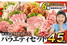 ＼畜産農家応援／豚肉 うまか ポーク バラエティ セット 4.5kg 豚肉 しゃぶしゃぶ 切り落とし 豚ロース バラ 豚バラ スライス 以上 定期便 真空 お楽しみセット 不揃い 数量限定 簡易包装 冷凍配送 小分け 《9月出荷予定》 豚肉