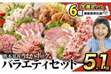 豚肉 うまか ポーク バラエティ セット 豚肉 しゃぶしゃぶ 切り落とし 豚ロース バラ 豚バラ スライス 【大満足セット】約5.1kg  以上 定期便 真空 お楽しみセット 不揃い 数量限定 簡易包装 冷凍配送 小分け 《9月上旬-9月末頃出荷》 豚肉