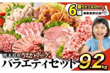 ＼畜産農家応援／豚肉 うまか ポーク バラエティ セット 9.2kg 豚肉 しゃぶしゃぶ 切り落とし 豚ロース バラ 豚バラ スライス 以上 定期便 真空 お楽しみセット 不揃い 数量限定 簡易包装 冷凍配送 小分け 《9月出荷予定》 豚肉