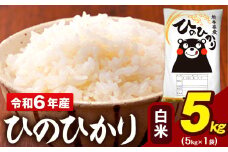 令和6年産 白米 米 ひのひかり 5kg《7-14日以内に出荷予定(土日祝除く)予定》熊本県 大津町 国産 熊本県産 白米 精米 送料無料 ヒノヒカリ こめ お米