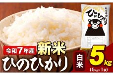 新米 令和7年産 白米 米 ひのひかり 5kg《9月下旬-11月上旬頃出荷》熊本県 大津町 国産 熊本県産 白米 精米 送料無料 ヒノヒカリ こめ お米