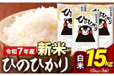 新米 令和7年産 白米 米 ひのひかり 15kg (5kg袋×3)《9月下旬-11月上旬頃出荷》熊本県 大津町 国産 熊本県産 白米 精米 送料無料 ヒノヒカリ こめ お米