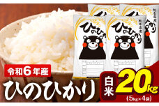 令和6年産 白米 米 ひのひかり 20kg (5kg袋×4)《7-14日以内に出荷予定(土日祝除く)予定》熊本県 大津町 国産 熊本県産 白米 精米 送料無料 ヒノヒカリ こめ お米