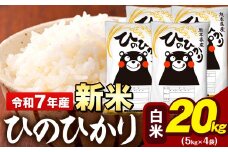 新米 令和7年産 白米 米 ひのひかり 20kg (5kg袋×4)《9月下旬-11月上旬頃出荷》熊本県 大津町 国産 熊本県産 白米 精米 送料無料 ヒノヒカリ こめ お米