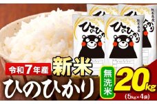 新米 令和7年産 無洗米 米 ひのひかり 20kg (5kg袋×4)《9月下旬-11月上旬頃出荷》熊本県 大津町 国産 熊本県産 無洗米 精米 送料無料 ヒノヒカリ こめ お米 