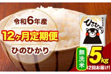 令和6年産 【12ヶ月定期便】  無洗米 米 ひのひかり 5kg《お申し込み月の翌月から出荷開始》熊本県 大津町 国産 熊本県産 無洗米 送料無料 ヒノヒカリ こめ お米