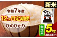 新米 令和7年産 【12ヶ月定期便】  無洗米 米 ひのひかり 5kg《お申し込み月の翌月から出荷開始》熊本県 大津町 国産 熊本県産 無洗米 送料無料 ヒノヒカリ こめ お米