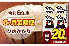 令和6年産 【6ヶ月定期便】 白米 米 ひのひかり 20kg《お申し込み月の翌月から出荷開始》熊本県 大津町 国産 熊本県産 白米 送料無料 ヒノヒカリ こめ お米 