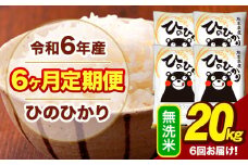 令和6年産 【6ヶ月定期便】  無洗米 米 ひのひかり 20kg《お申し込み月の翌月から出荷開始》熊本県 大津町 国産 熊本県産 無洗米 送料無料 ヒノヒカリ こめ お米 