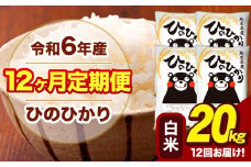 令和6年産 【12ヶ月定期便】 白米 米 ひのひかり 20kg《お申し込み月の翌月から出荷開始》熊本県 大津町 国産 熊本県産 白米 送料無料 ヒノヒカリ こめ お米 