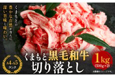 牛肉 A4～A5等級 黒毛和牛 切り落とし くまもと黒毛和牛 切り落とし 1kg 《30日以内に出荷予定(土日祝除く)》 牛肉 くまもと黒毛和牛 冷凍 Esprit