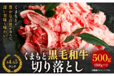 牛肉 A4～A5等級 黒毛和牛 切り落とし くまもと黒毛和牛 切り落とし 500g 《30日以内に出荷予定(土日祝除く)》 牛肉 くまもと黒毛和牛 冷凍 Esprit