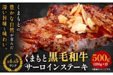 【A4～A5】くまもと黒毛和牛 サーロインステーキ  500g 《30日以内に出荷予定(土日祝除く)》 牛肉 くまもと黒毛和牛 黒毛和牛 冷凍庫 サーロイン ステーキ Esprit