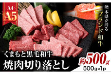 【A4～A5】くまもと黒毛和牛 焼肉切り落とし  約500g(500g×1p) 《30日以内に出荷予定(土日祝除く)》熊本県 大津町 黒毛和牛 肉 お肉 和牛 牛 牛肉 A5 A4 焼肉 切り落とし MEAT PLUS