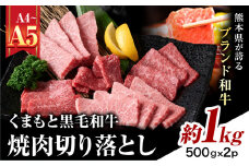 【A4～A5】くまもと黒毛和牛 焼肉切り落とし  約1kg(500g×2p)《30日以内に出荷予定(土日祝除く)》熊本県 大津町 黒毛和牛 肉 お肉 和牛 牛 牛肉 A5 A4 焼肉 切り落とし MEAT PLUS