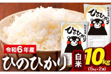 令和6年産 白米 米 ひのひかり 10kg (5kg袋×2)《7-14日以内に出荷予定(土日祝除く)予定》熊本県 大津町 国産 熊本県産 白米 精米 送料無料 ヒノヒカリ こめ お米