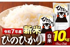 新米 令和7年産 白米 米 ひのひかり 10kg (5kg袋×2)《9月下旬-11月上旬頃出荷》熊本県 大津町 国産 熊本県産 白米 精米 送料無料 ヒノヒカリ こめ お米