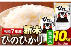 新米 令和7年産 無洗米 米 ひのひかり 10kg(5kg袋×2)《9月下旬-11月上旬頃出荷》熊本県 大津町 国産 熊本県産 無洗米 精米 送料無料 ヒノヒカリ こめ お米