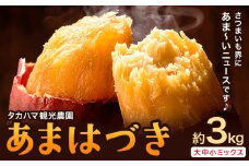 タカハマ観光農園 の あまはづき 3kg タカハマ観光農園《9月下旬-12月末頃出荷》熊本県 大津町 さつまいも 芋 いも イモ あまはづき アマハヅキ 送料無料